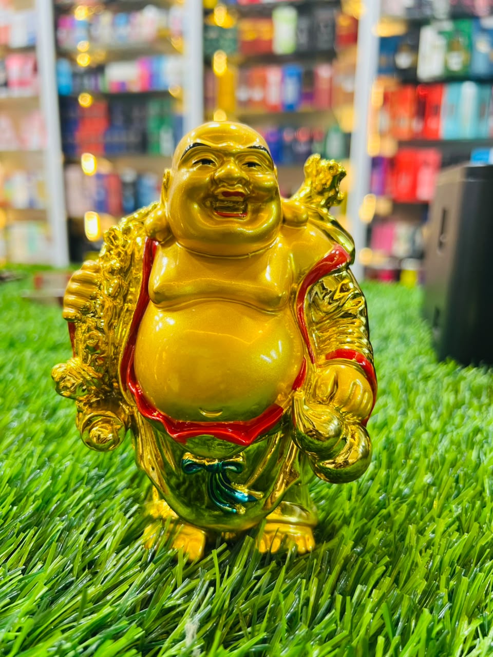 LAUGHIG BUDDHA 250/6P View 2