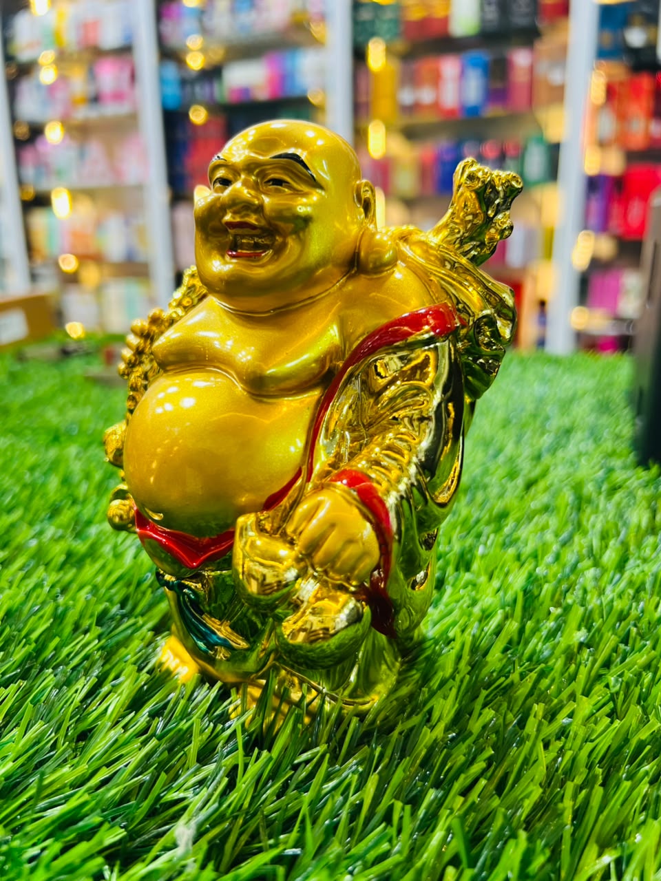 LAUGHIG BUDDHA 250/6P View 4