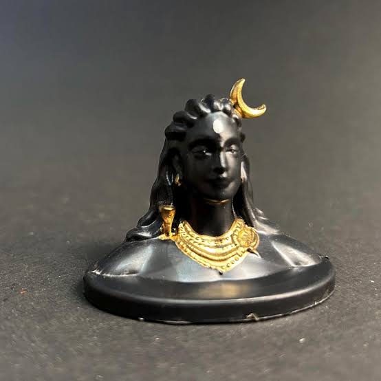 ADIYOGI 21 View 2