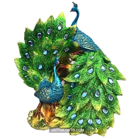 PEACOCK A View 4