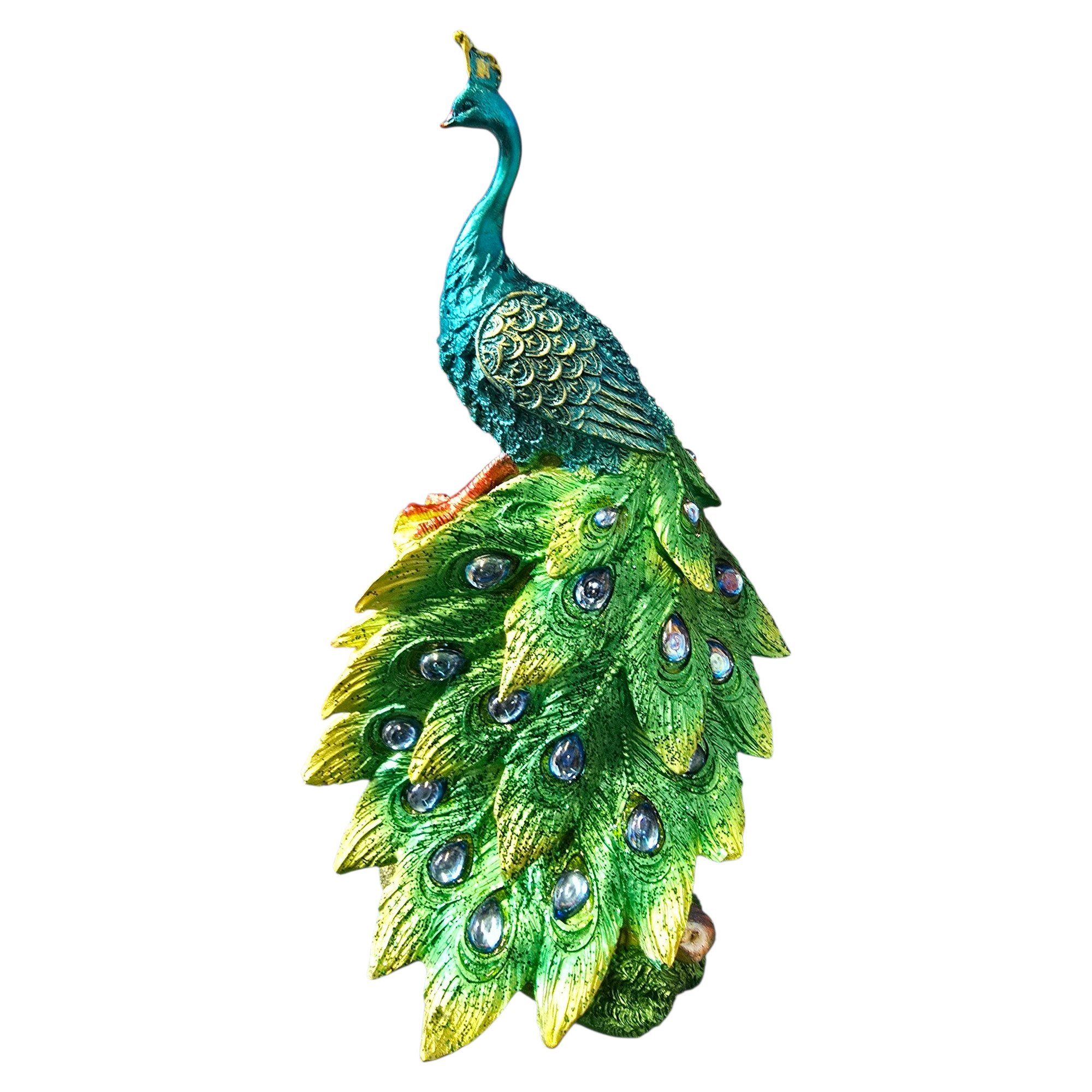 PEACOCK C View 5