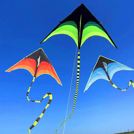 KITE BIG View 2