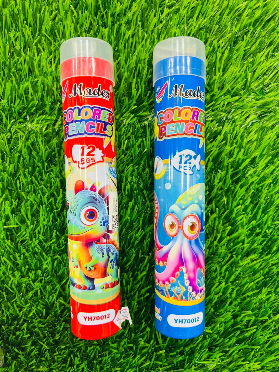 COLOURED PENCIL - Rasmika Fancy